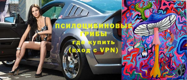 сатива Балахна