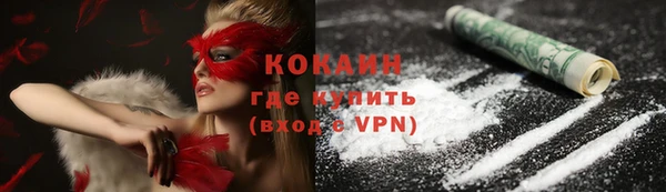 spice Аркадак