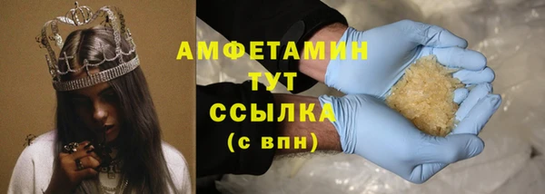 сатива Балахна