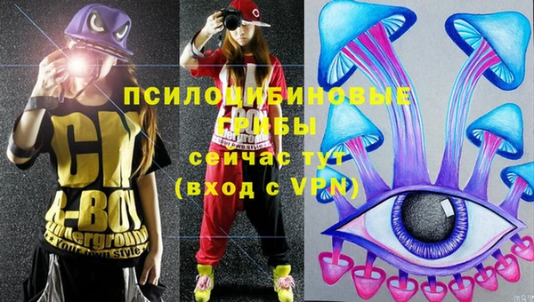 сатива Баксан