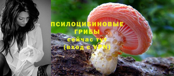 spice Аркадак