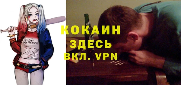 сатива Баксан