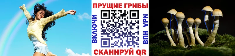 Галлюциногенные грибы Magic Shrooms даркнет сайт Лиски